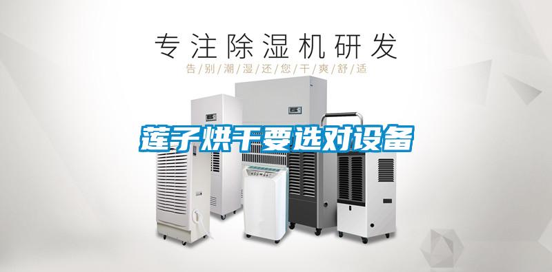 莲子烘干要选对设备