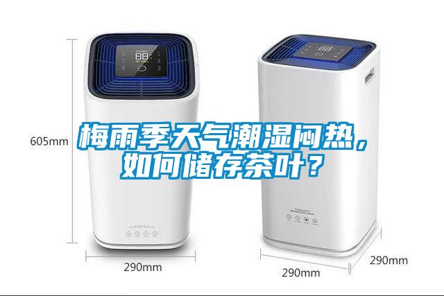 梅雨季天气潮湿闷热，如何储存茶叶？