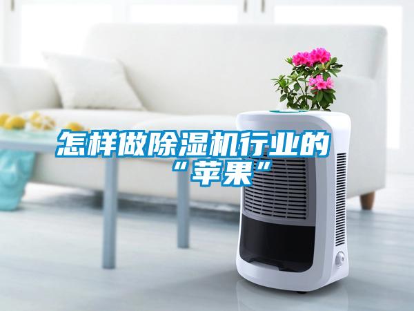 怎样做除湿机行业的“苹果”