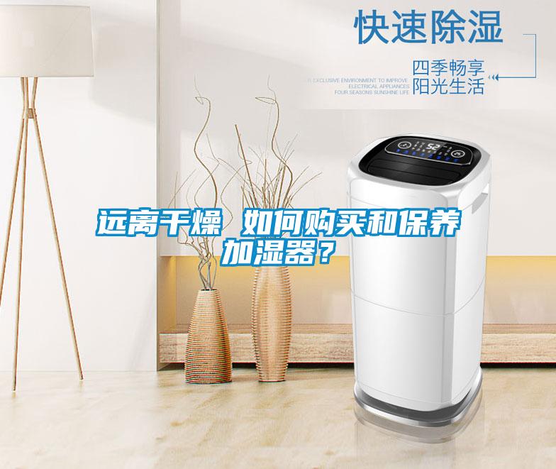 远离干燥 如何购买和保养加湿器?