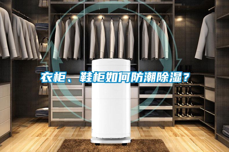 衣柜、鞋柜如何防潮除湿？