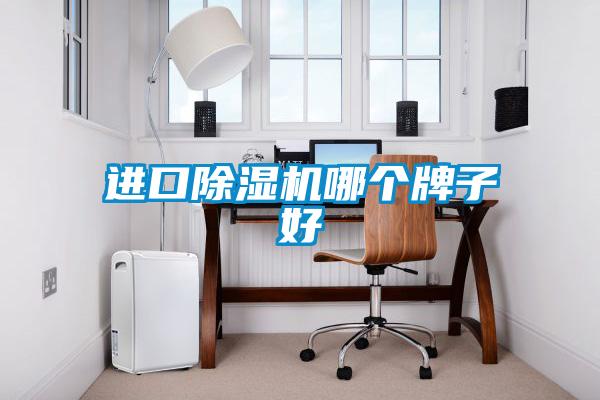 进口除湿机哪个牌子好