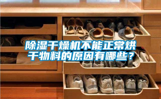 除湿干燥机不能正常烘干物料的原因有哪些?