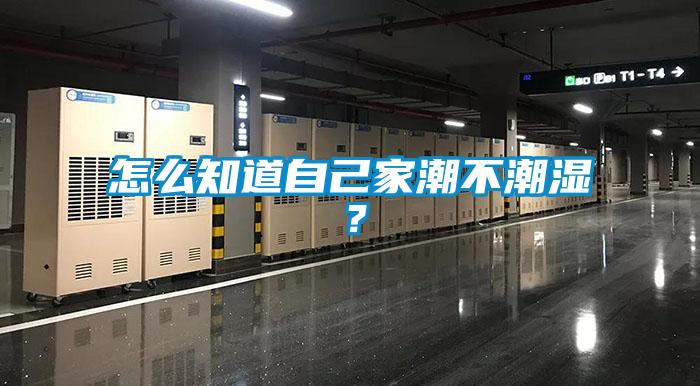 怎么知道自己家潮不潮湿？