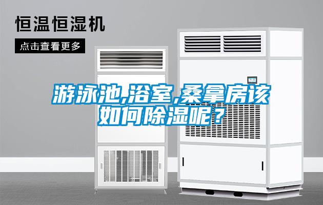 游泳池,浴室,桑拿房该如何除湿呢？