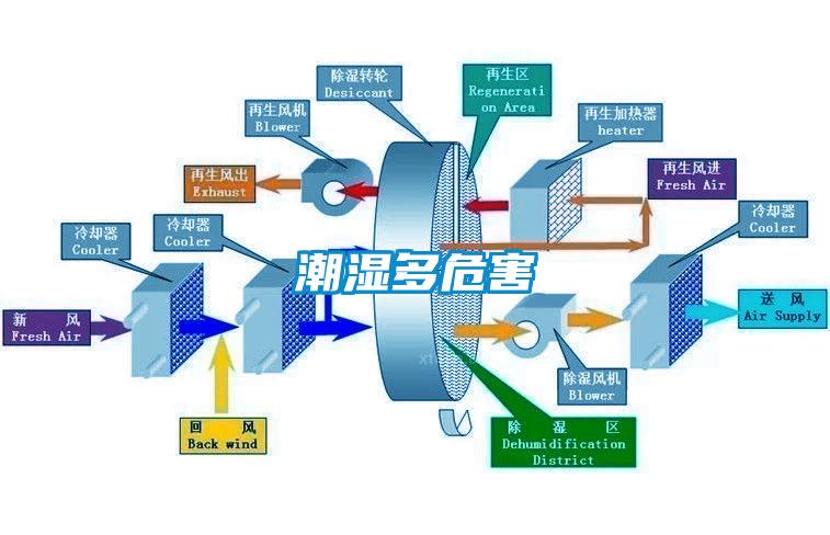 潮湿多危害