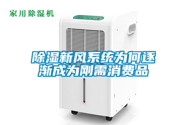 除湿新风系统为何逐渐成为刚需消费品