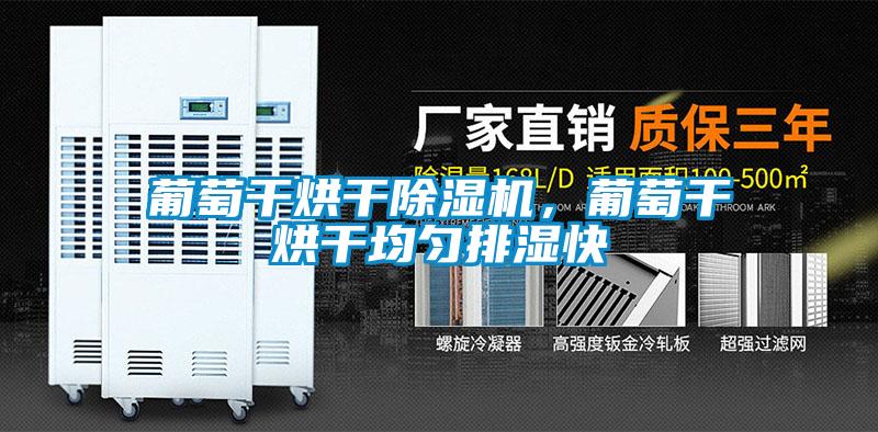 葡萄干烘干除湿机，葡萄干烘干均匀排湿快