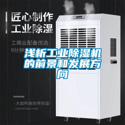 浅析工业除湿机的前景和发展方向