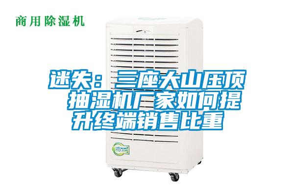 迷失：三座大山压顶 抽湿机厂家如何提升终端销售比重