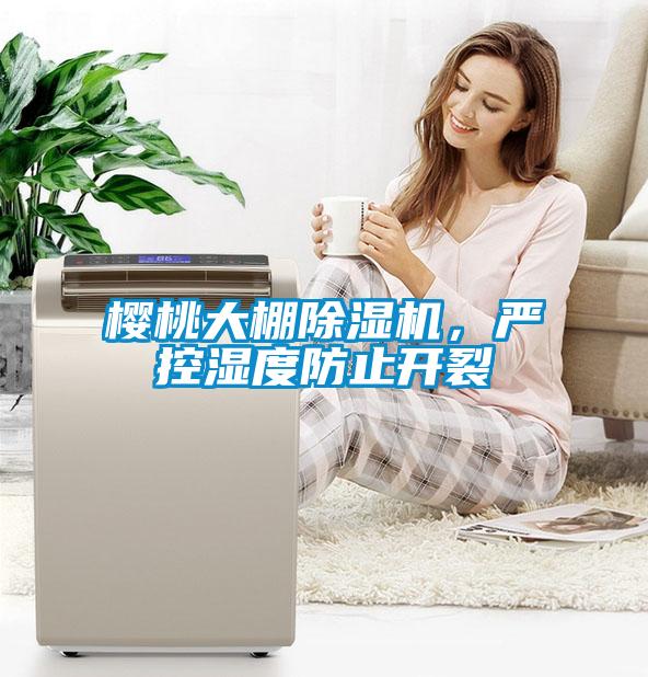 樱桃大棚除湿机，严控湿度防止开裂