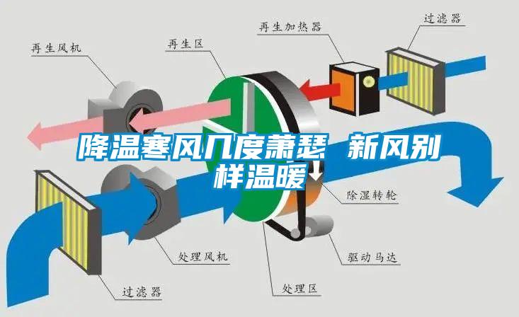 降温寒风几度萧瑟 新风别样温暖