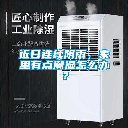 近日连续阴雨，家里有点潮湿怎么办？