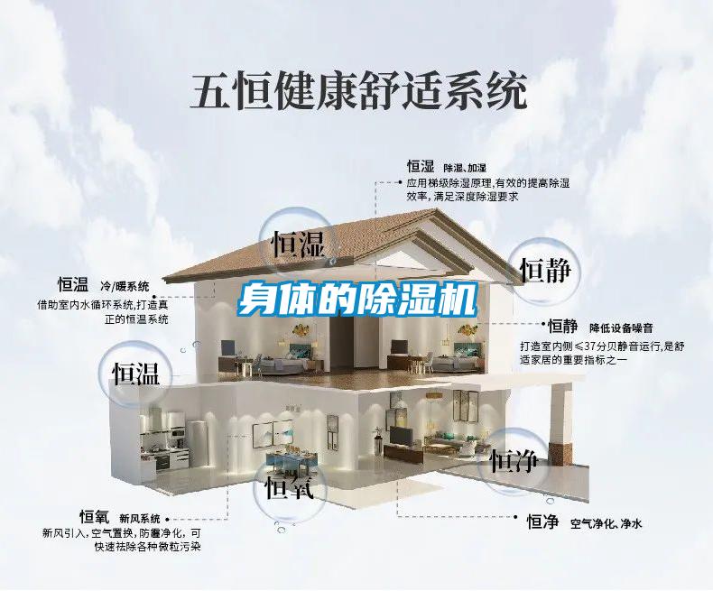 身体的除湿机
