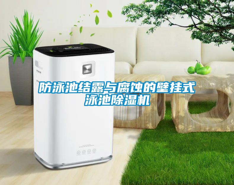 防泳池结露与腐蚀的壁挂式泳池除湿机