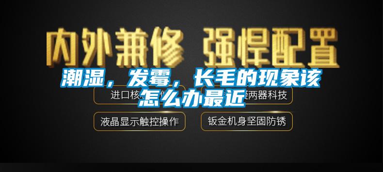 潮湿，发霉，长毛的现象该怎么办最近