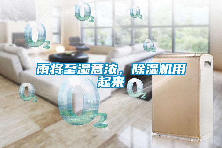 雨将至湿意浓,除湿机用起来