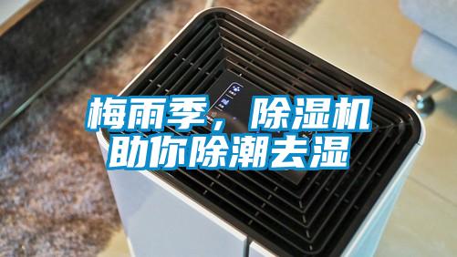 梅雨季，除湿机助你除潮去湿