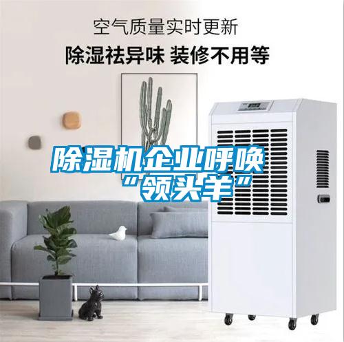 除湿机企业呼唤“领头羊”