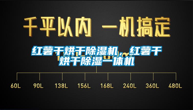 红薯干烘干除湿机，红薯干烘干除湿一体机