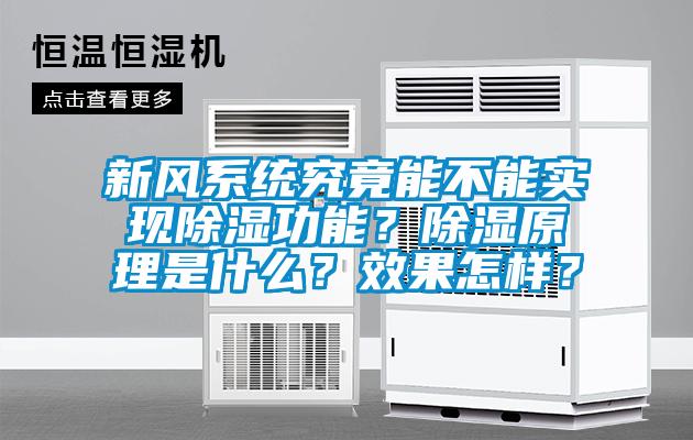 新风系统究竟能不能实现除湿功能？除湿原理是什么？效果怎样？