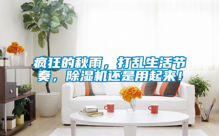 疯狂的秋雨，打乱生活节奏，除湿机还是用起来！