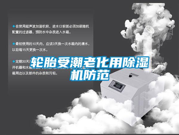 轮胎受潮老化用除湿机防范