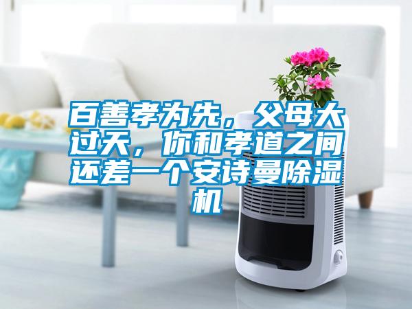 百善孝为先，父母大过天，你和孝道之间还差一个安诗曼除湿机