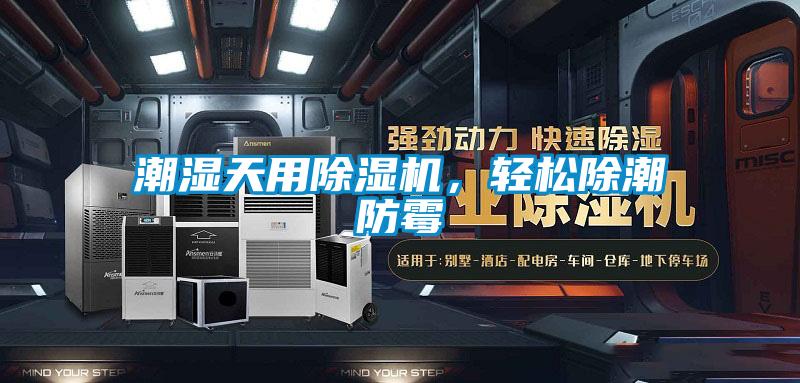 潮湿天用除湿机，轻松除潮防霉