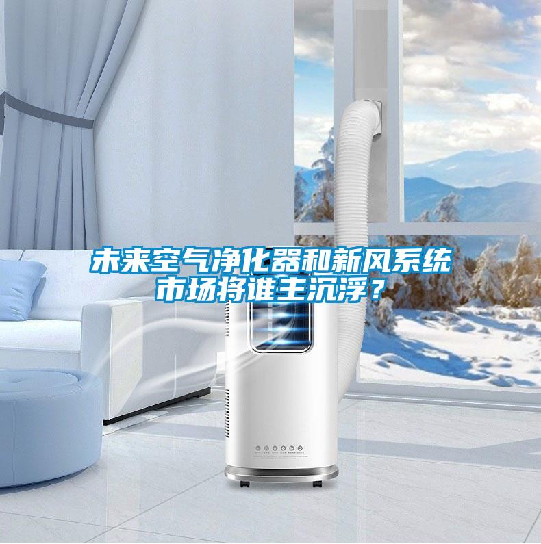未来空气净化器和新风系统市场将谁主沉浮？