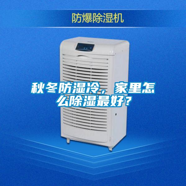 秋冬防湿冷，家里怎么除湿最好？