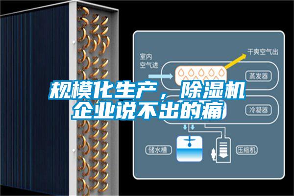 规模化生产，除湿机企业说不出的痛