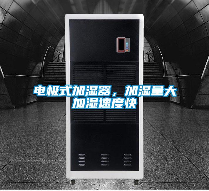 电极式加湿器，加湿量大加湿速度快