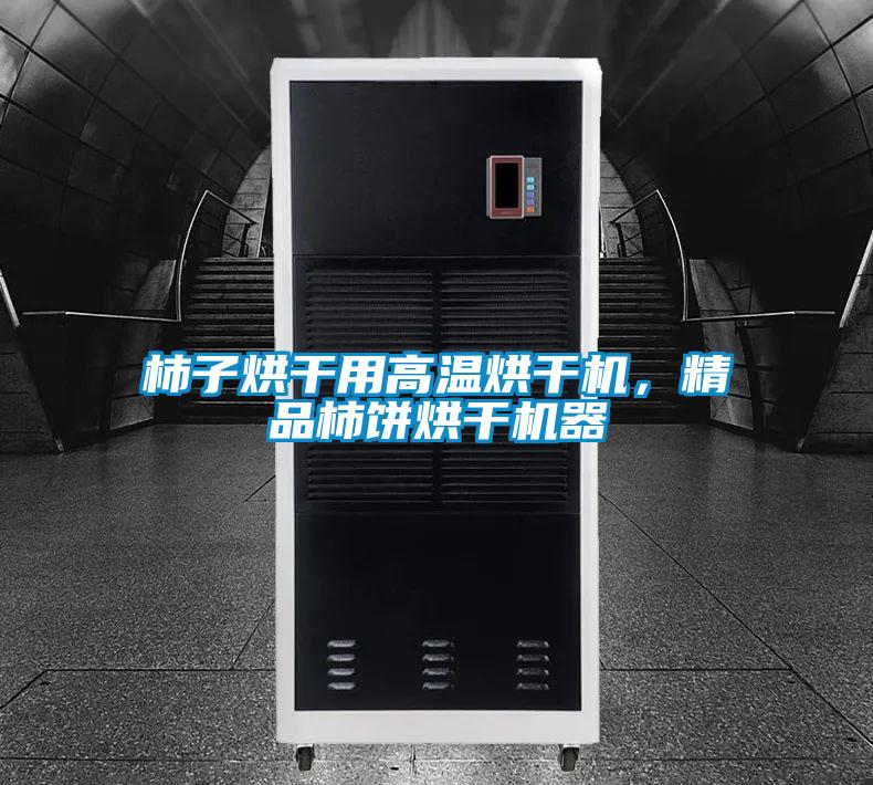 柿子烘干用高温烘干机，精品柿饼烘干机器