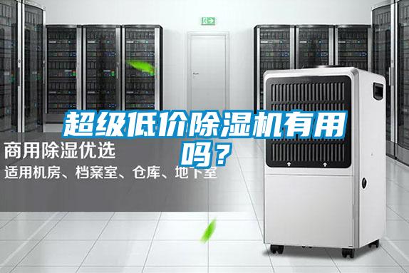 超级低价除湿机有用吗?