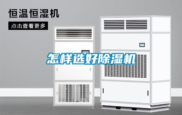 怎样选好除湿机