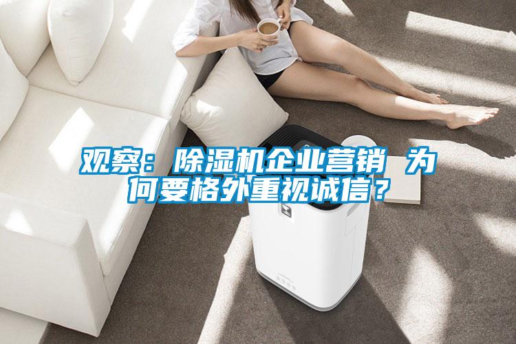 观察：除湿机企业营销 为何要格外重视诚信？