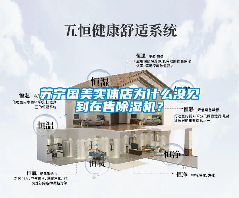 苏宁国美实体店为什么没见到在售除湿机？