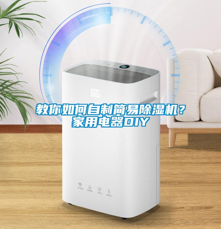 教你如何自制简易除湿机？家用电器DIY