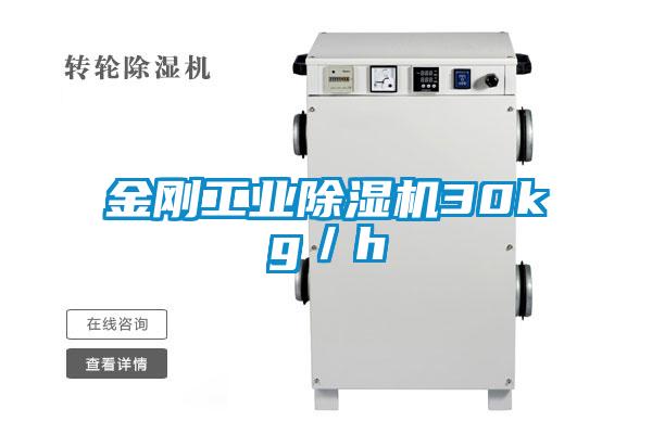 金刚工业除湿机30kg／h