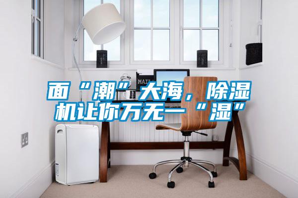 面“潮”大海，除湿机让你万无一“湿”