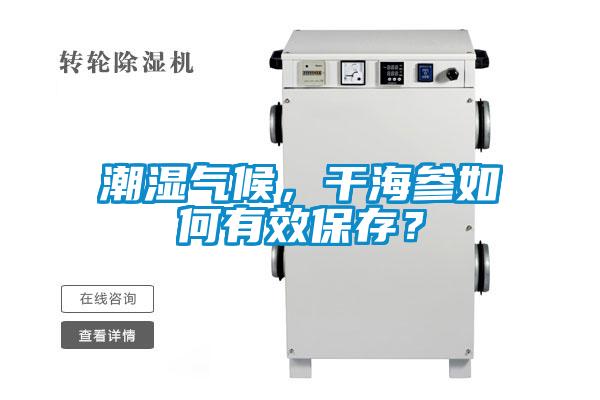 潮湿气候，干海参如何有效保存？