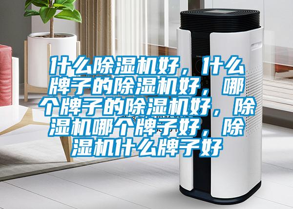 什么除湿机好，什么牌子的除湿机好，哪个牌子的除湿机好，除湿机哪个牌子好，除湿机什么牌子好