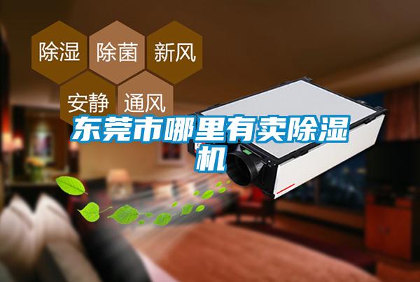 东莞市哪里有卖除湿机