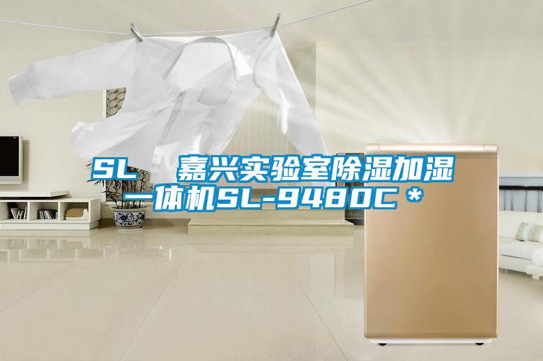 SL  嘉兴实验室除湿加湿一体机SL-9480C＊