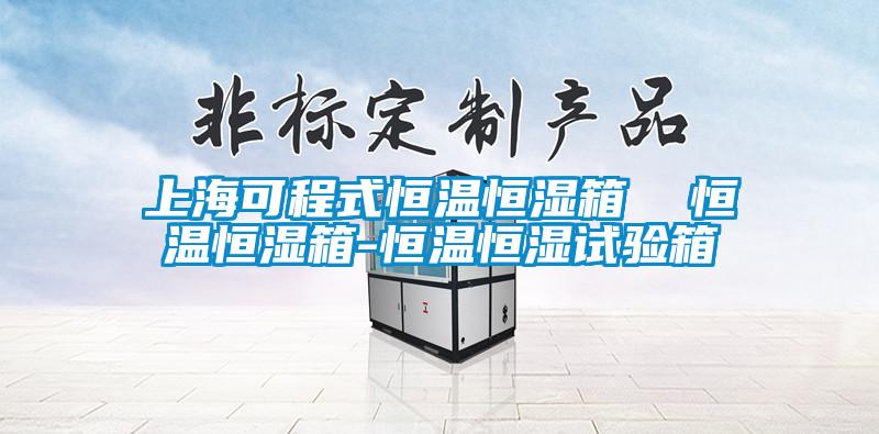 上海可程式恒温恒湿箱  恒温恒湿箱-恒温恒湿试验箱