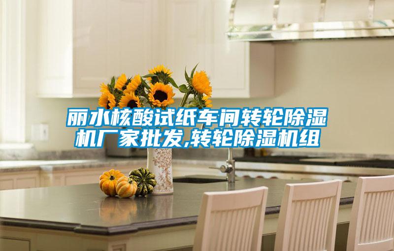 丽水核酸试纸车间转轮除湿机厂家批发,转轮除湿机组