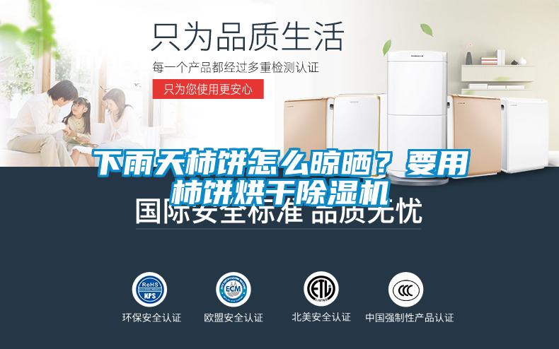 下雨天柿饼怎么晾晒？要用柿饼烘干除湿机