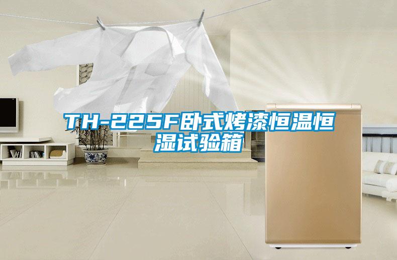 TH-225F卧式烤漆恒温恒湿试验箱