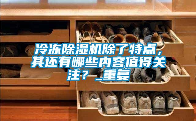 冷冻除湿机除了特点，其还有哪些内容值得关注？_重复